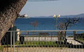 Apartments Gorda - 50M From Beach